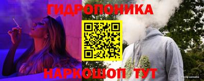 индика Будённовск