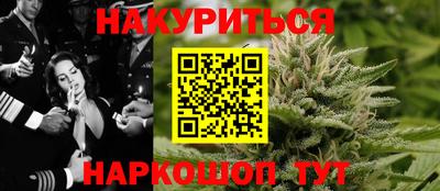 индика Будённовск
